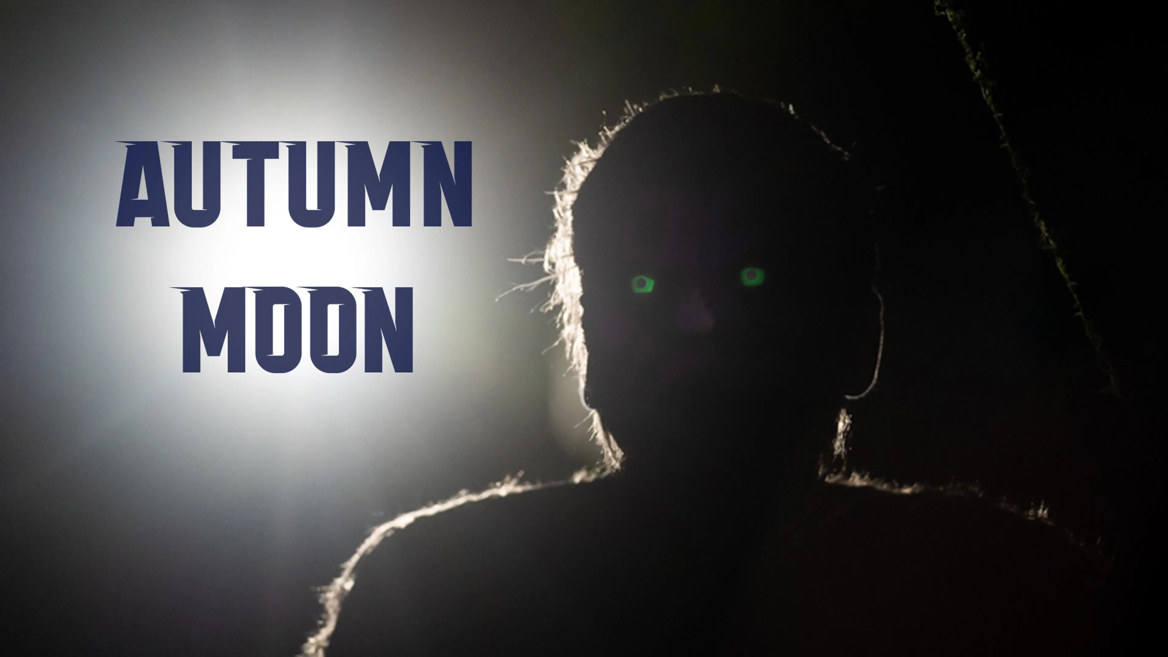 Autumn Moon poster